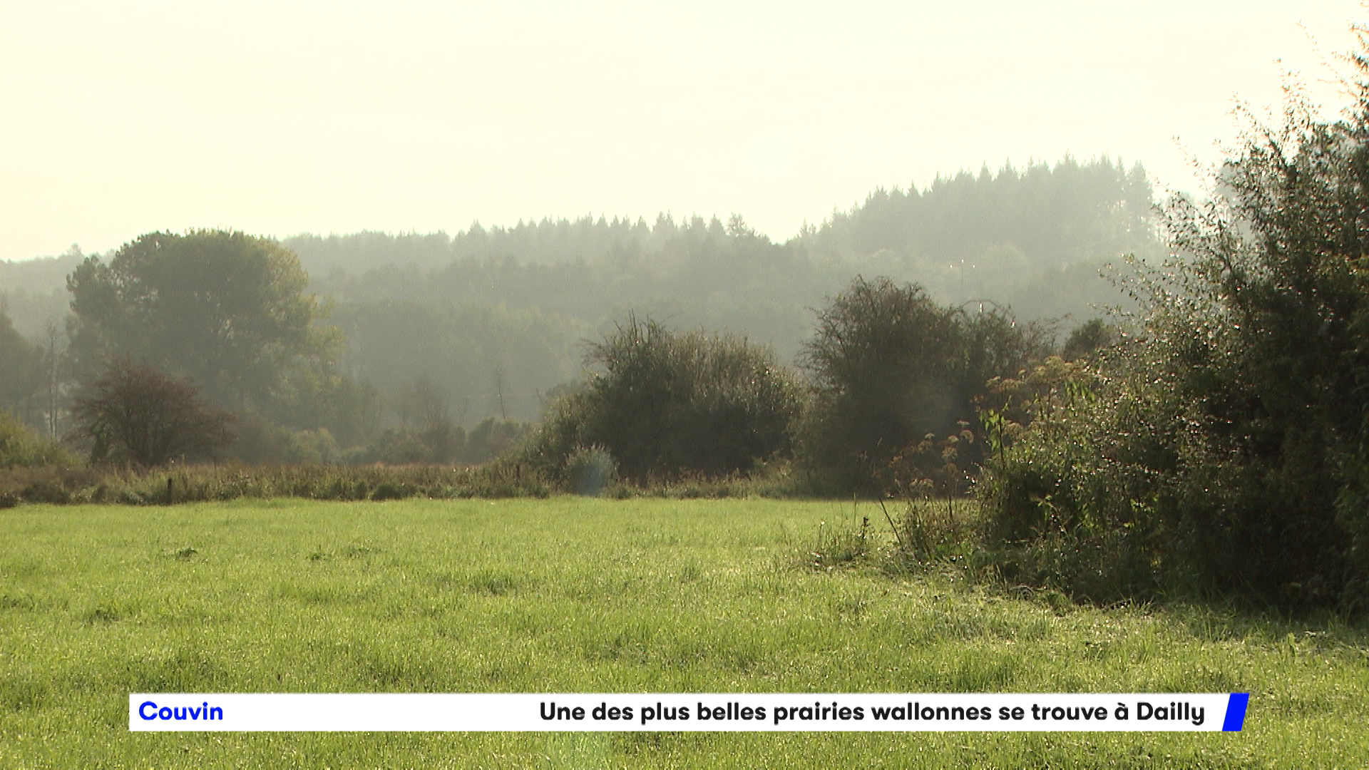 Une des plus belles prairies de Wallonie