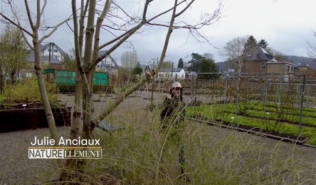 Naturellement : Au Jardin des petits fruits à Wépion