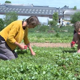 Le GAL Entre-Sambre-et-Meuse fête ses 20 ans d'existence
