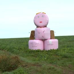 Une dame en rose à Cerfontaine