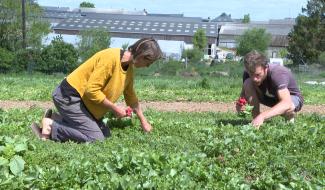 Le GAL Entre-Sambre-et-Meuse fête ses 20 ans d'existence