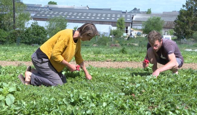 Le GAL Entre-Sambre-et-Meuse fête ses 20 ans d'existence