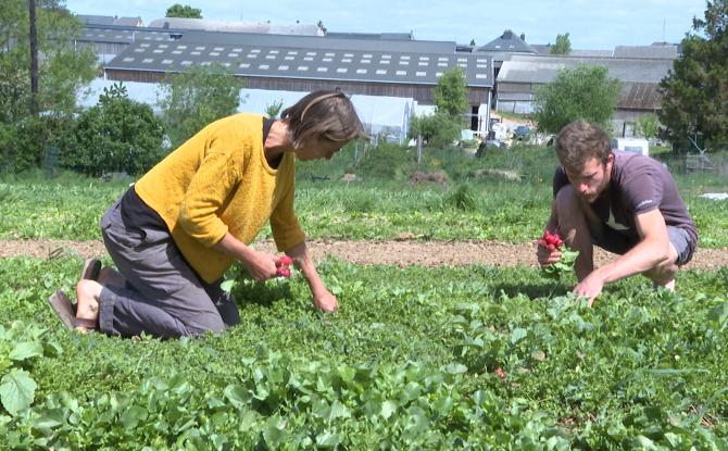 Le GAL Entre-Sambre-et-Meuse fête ses 20 ans d'existence